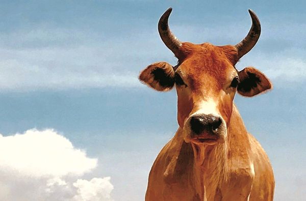 Bcachefs - Nowa generacja systemu plików CoW w jądrze