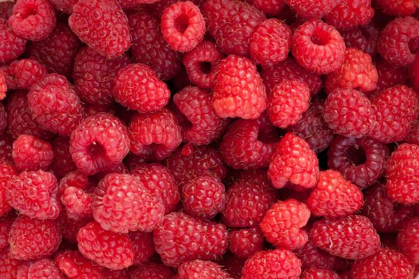 Pulpit Raspberry